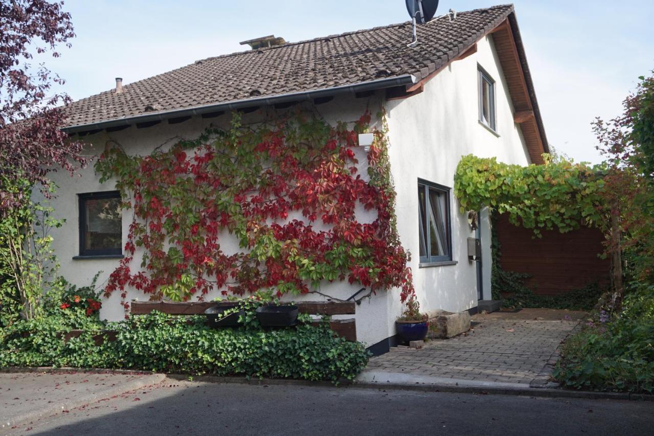 Haus Eifeldolomiten - Ankommen Und Wohlfuehlen 盖罗尔施泰因 外观 照片